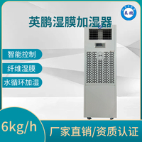 水果产品恒湿保鲜储藏 湿膜加湿器6KG/H