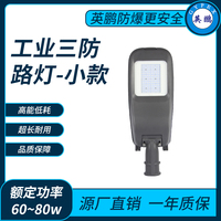 三防9221小款路灯