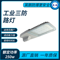 三防9650路灯250w