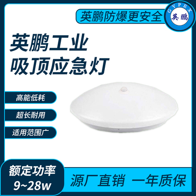 英鹏工业吸顶应急灯9~28w