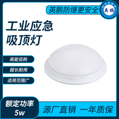 工业应急吸顶灯5w