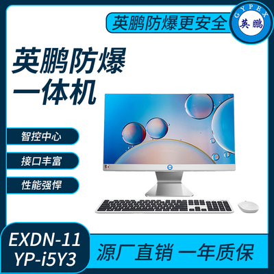 英鹏防爆一体机电脑i5处理器系列8+256GB SSD+1T HDD