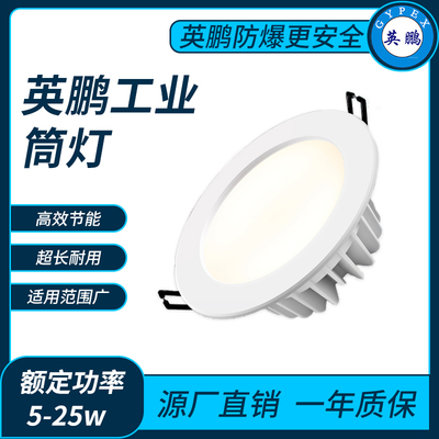 英鹏工业筒灯