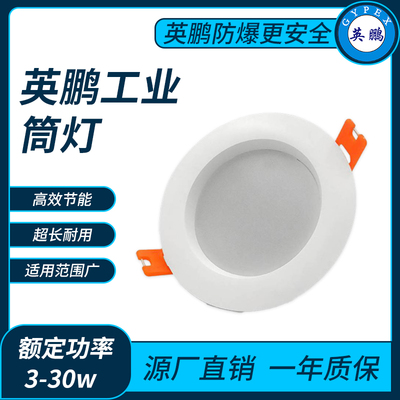 英鹏工业筒灯