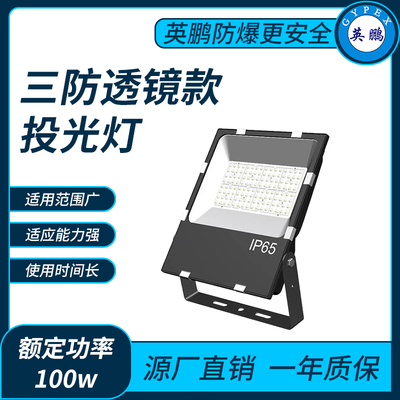 三防9126透镜2合一款100w投光灯