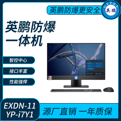 英鹏防爆一体机电脑i7处理器系列8+256GB SSD