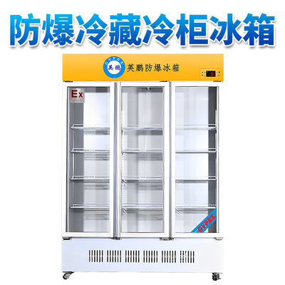 石油甘肃冷藏柜防爆冰箱1000L