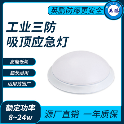 工业三防吸顶应急灯8~24w