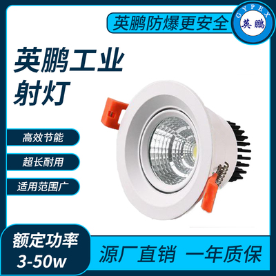 英鹏工业射灯