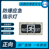 防爆应急指示灯正向