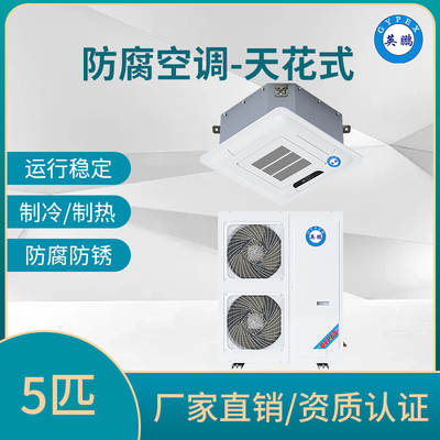 防腐空调天花式5匹