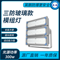 三防玻璃款模组灯300w