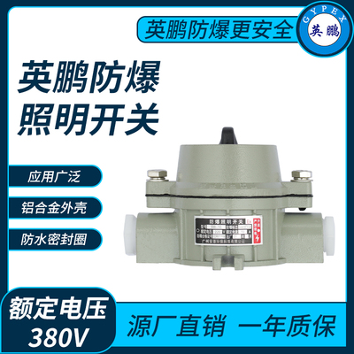 英鹏防爆照明开关380V