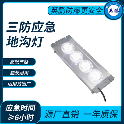 三防应急地沟灯