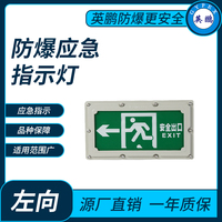 防爆应急指示灯左向