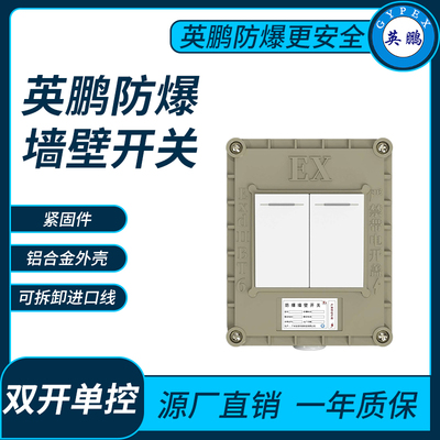 英鹏防爆开关双开单控