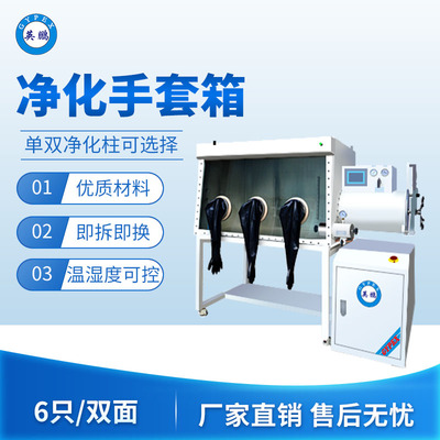 净化手套箱6只双面