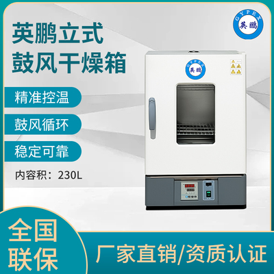 英鹏立式鼓风干燥箱-230L