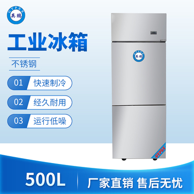 工业不锈钢冰箱500L冷冻款