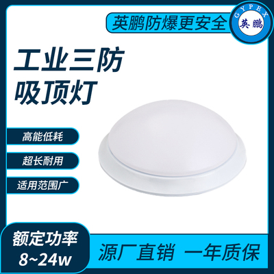 工业三防吸顶灯8~24w
