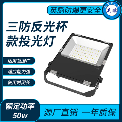 三防9126反光杯款50w投光灯