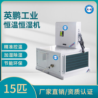 英鹏吊顶式15P恒温恒湿机