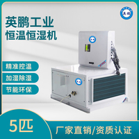 英鹏吊顶式5P恒温恒湿机