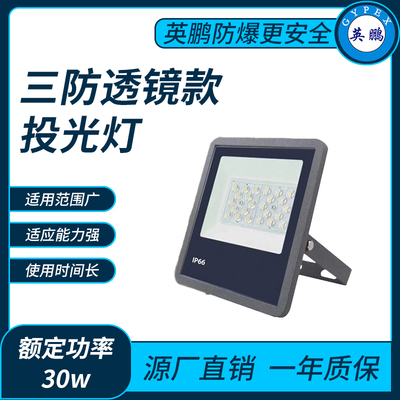 三防9127透镜款30w投光灯