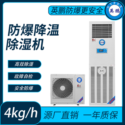 防爆降温型除湿机4L