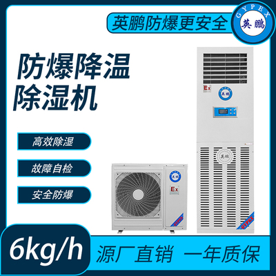 防爆降温型除湿机6L