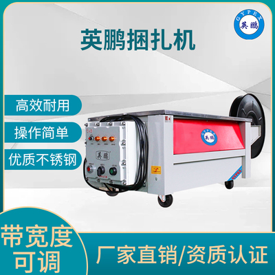 安徽化工防爆自动打包捆扎机 