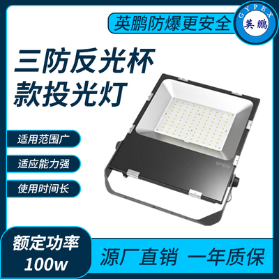 三防9126反光杯款100w投光灯