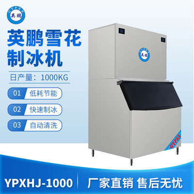 防爆雪花制冰机-1000