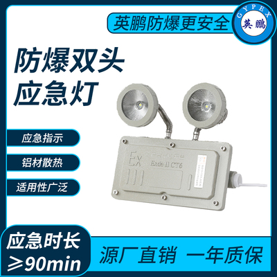 防爆双头应急灯