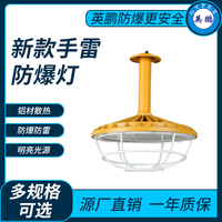 新款手雷防爆灯