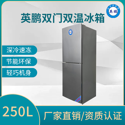 英鹏双门双温冷藏冰箱250L