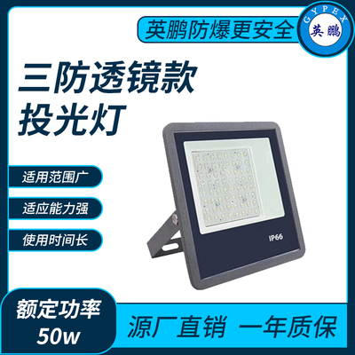 三防9127透镜款50w投光灯