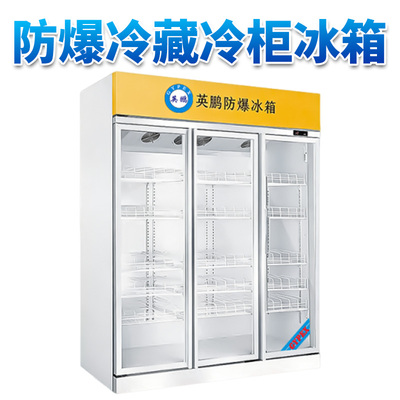 英鹏冷藏柜防爆冰箱1800L