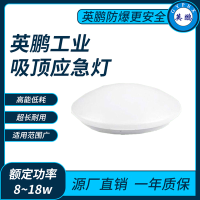英鹏工业吸顶应急灯8~18w