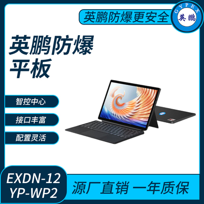 英鹏防爆平板电脑Windows系列8G+256GB