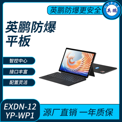 英鹏防爆平板电脑Windows系列8G+128GB
