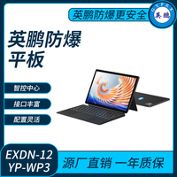 英鹏防爆平板电脑Windows系列16G+256GB