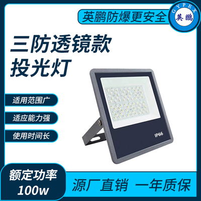 三防9127透镜款100w投光灯