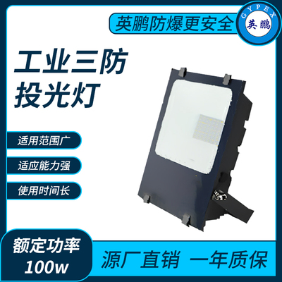 三防投光灯100w