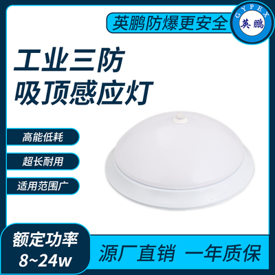 工业三防吸顶感应灯8~24w