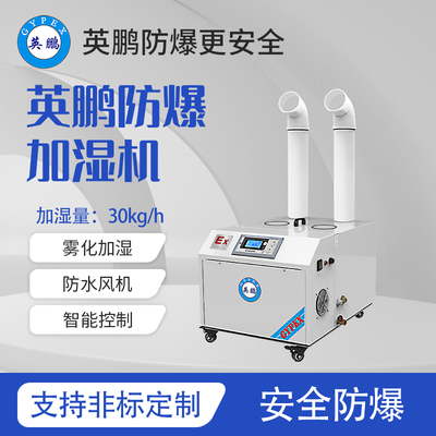 防爆超声波加湿机-30kg/h