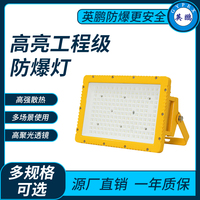 高亮工程级防爆灯