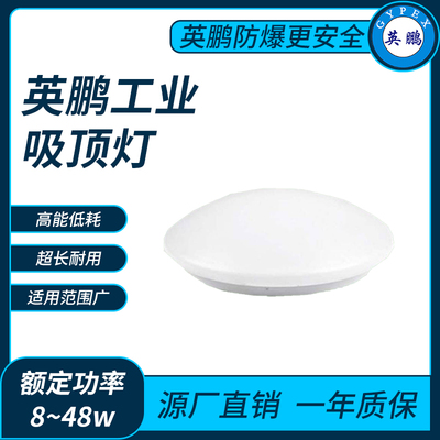 英鹏工业吸顶灯8~48w
