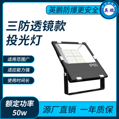 三防9126透镜2合一款50w投光灯