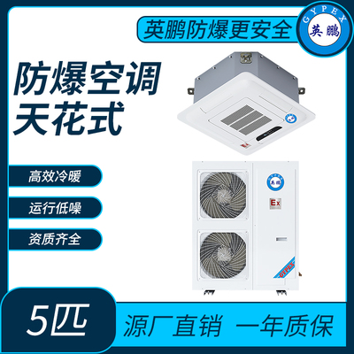 加工制造防爆空调天花式5匹